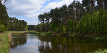 Small-scale retention programe SMALL-scale retention programe in Forests as nature-based climate change mitigation